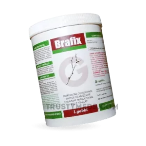 Brafix